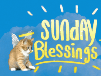 Blessed Sunday Ginger Kitty With Halo GIF