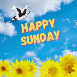 Blessed Sunday Grooving Sunflowers GIF