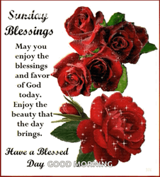 Blessed Sunday Shimmering Red Roses GIF