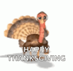 Blessed Thanksgiving Waving Turkey GIF