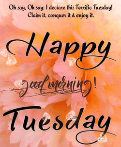 Blessed Tuesday Beautiful Floating Hearts GIF