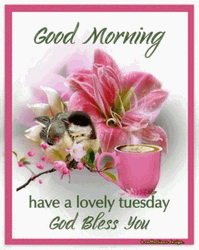 Blessed Tuesday Blooming Pink Flower GIF