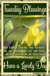 Blessed Tuesday Floating Dandelions GIF