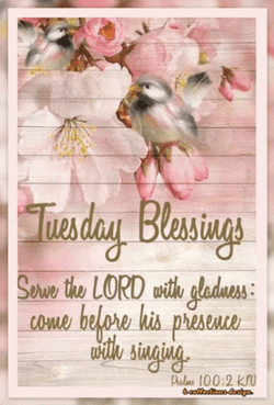 Blessed Tuesday Pink Floral Blooms Artwork GIF