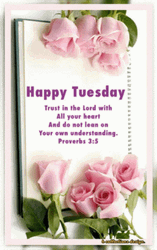 Blessed Tuesday Pink Rose Blossoms GIF