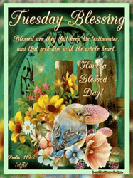 Blessed Tuesday Pretty Little Bird Vector Art GIF