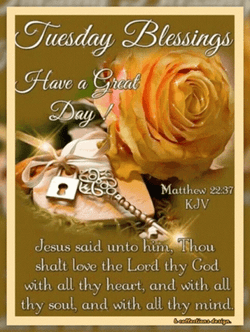 Blessed Tuesday Yellow Rose Bible Verse GIF
