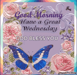 Blessed Wednesday Butterfly And Roses GIF
