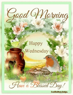 Blessed Wednesday Flower Arch GIF