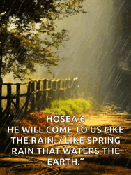Blessing Praise On Rainy Monday GIF