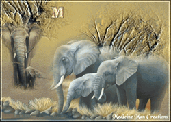 Blessings Elephants Graphics GIF