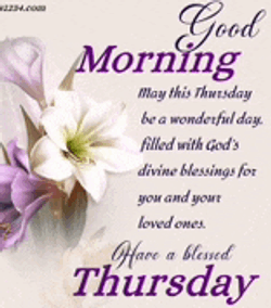 Blessings Good Morning Blessings Meme GIF
