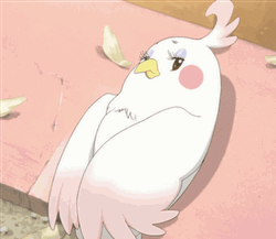 Blinking Dera Mochmazzi Tamako Market GIF