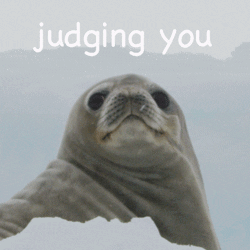 Blinking Guy Crabeater Seal Judging You