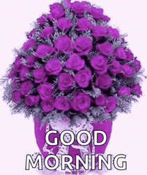 Blinking Violet Good Morning Rose GIF