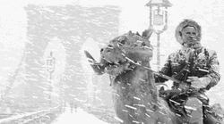 Blizzard Bill De Blasio Face Swap Meme GIF