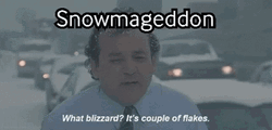 Blizzard Bill Murray Reporting Groundhog Day GIF