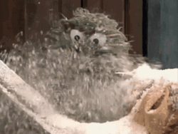 Blizzard Grover Having Fun Sesame Street GIF