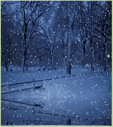 Blizzard Snow Fall Winter Time GIF
