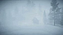 Blizzard GIF