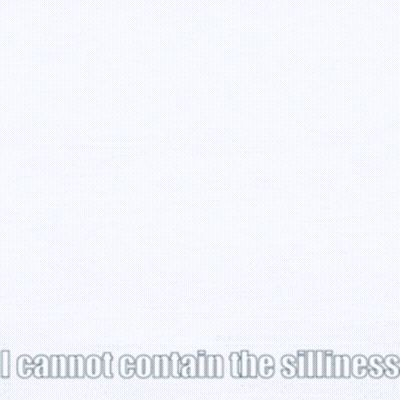 Block Of Ice Saying I Cannot Contain The Silliness GIF