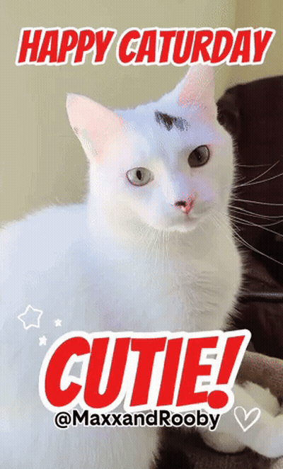 Blonde, Blue-Eyed Woman In Blue Sweater By Gold Curtain GIF
