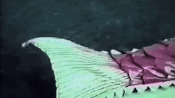 Blonde Girl Mermaid GIF