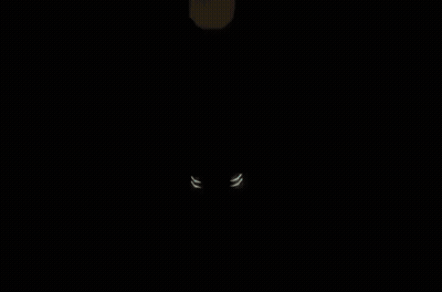 Blonde Girl With Braces Looking At Camera GIF