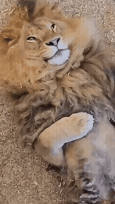 Blonde Woman In Black Dress Holding Hands Together GIF
