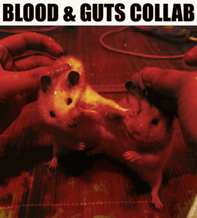 Blood And Guts Collab Hamsters Poster GIF