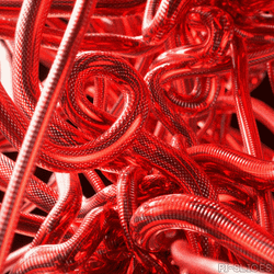 Blood Flow In The Circulatory System GIF