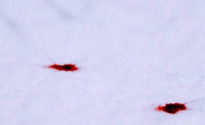 Blood Stains With Drops GIF