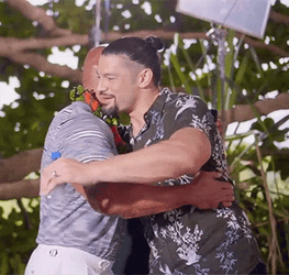 Bloodline The Rock And Roman Reigns Bro Hug GIF