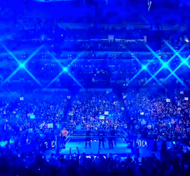 Bloodline The Rock Climbing Up The Ring Ropes GIF