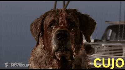 Bloody Dog With Cujo GIF