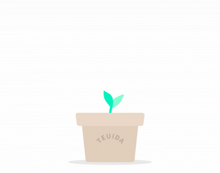 Blooming Beautiful Flowers Growing Plant GIF