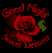 Blooming Rose Good Night And Sweet Dreams GIF