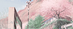 Blossom Tumblr Flower Falling Petals GIF