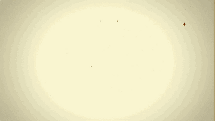 Blow Head Off Mushroom Cloud Shock GIF