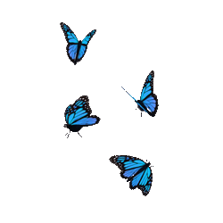 Blue Aesthetic Butterflies GIF
