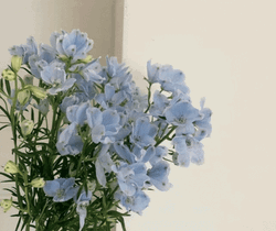 Blue Aesthetic Cute Stuffs GIF