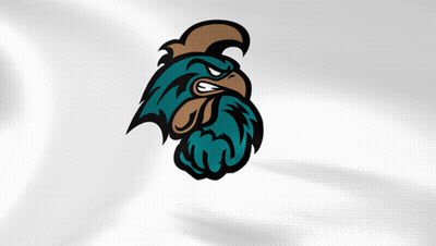 Blue And Brown Rooster With Beard Mascot GIF