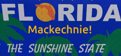 Blue And Green Florida Mackechnie The Sunshine State Sign GIF