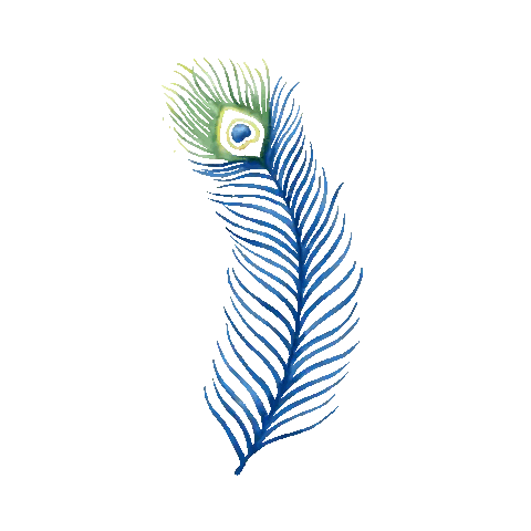 Blue And Green Peacock Feather Sticker