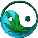 Blue And Green Yin Yang With Marijuana Leaf Sticker