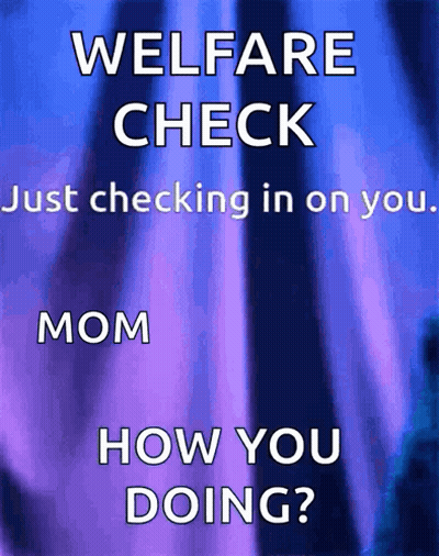 Blue And Purple Welfare Check Poster GIF