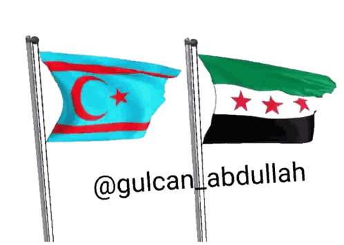Blue And Red Flag Next To Green And Black Flag Sticker