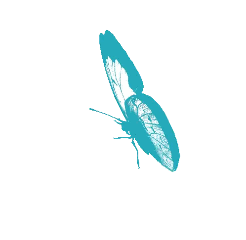 Blue And White Butterfly Flying Sticker