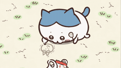 Blue And White Cat In Red Shirt GIF