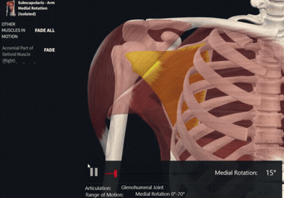 Blue And White Circles Floating In Air GIF